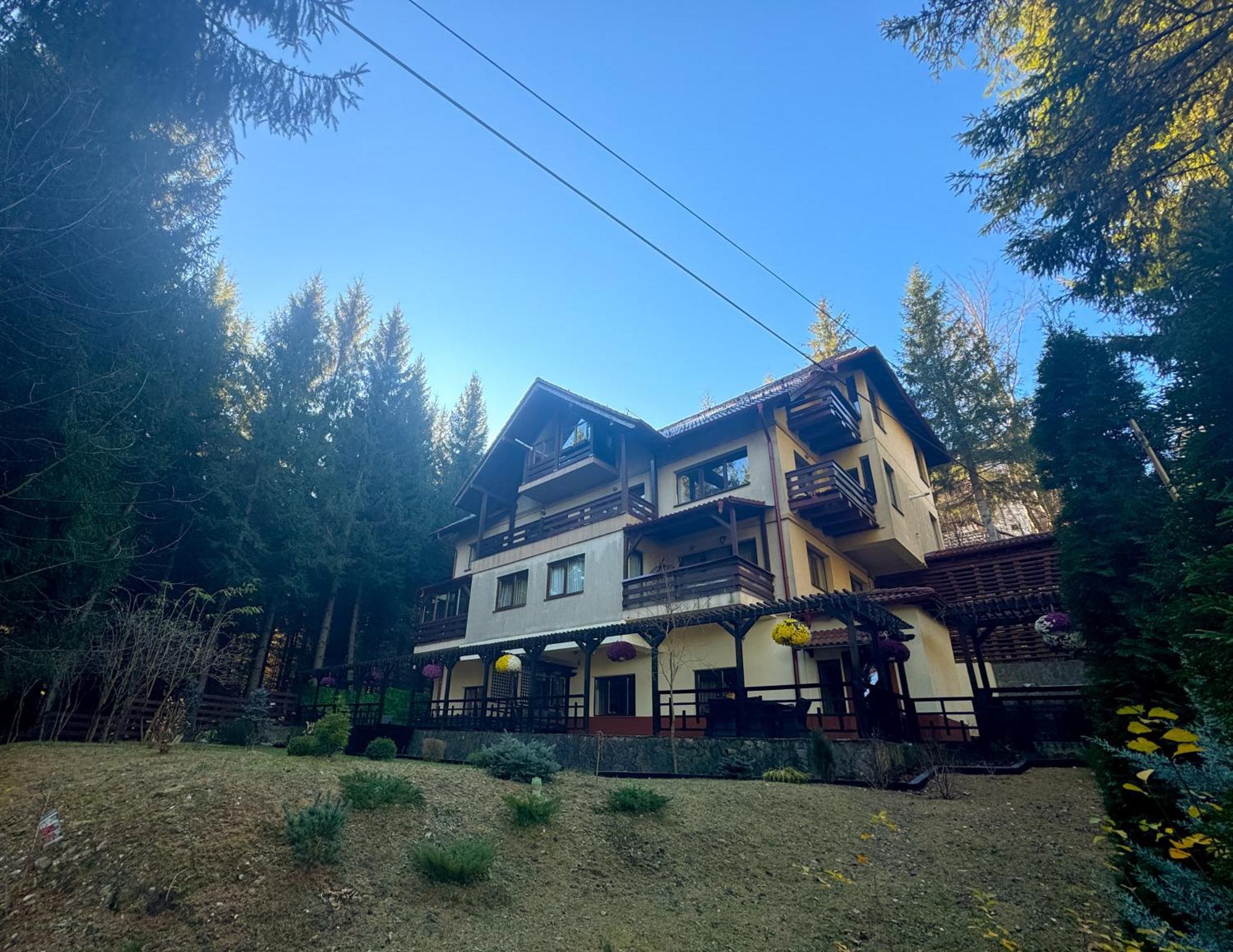 Impala Sinaia - Gazelle Daire Dış mekan fotoğraf