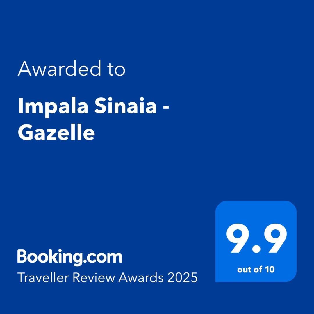 Impala Sinaia - Gazelle Daire Dış mekan fotoğraf